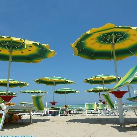 Il Faro Pt - * 피네토