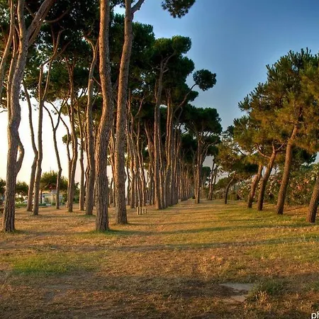 Il Faro Pt - Apartment *